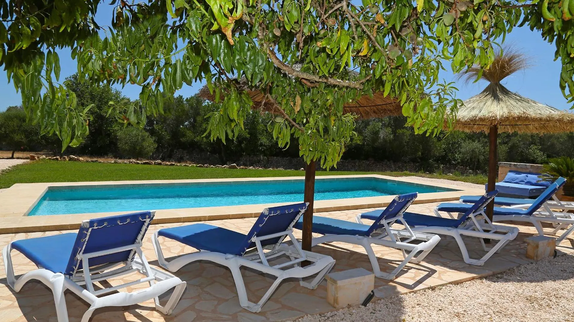Suite Con Piscina En Ses Salinies, Mallorca Ses Salines